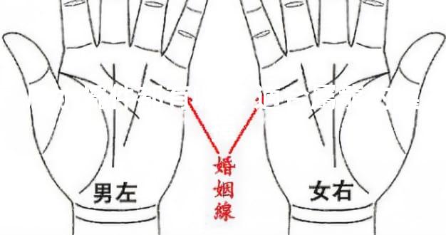 風水擺件都有哪些 適合屬龍的選擇